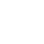 Google Ads Management