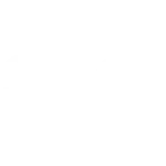 Search Engine Optimization (SEO)