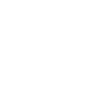 TikTok Ads Management